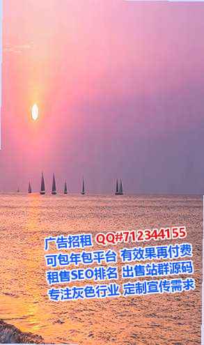 昭阳代妈计算机事务所